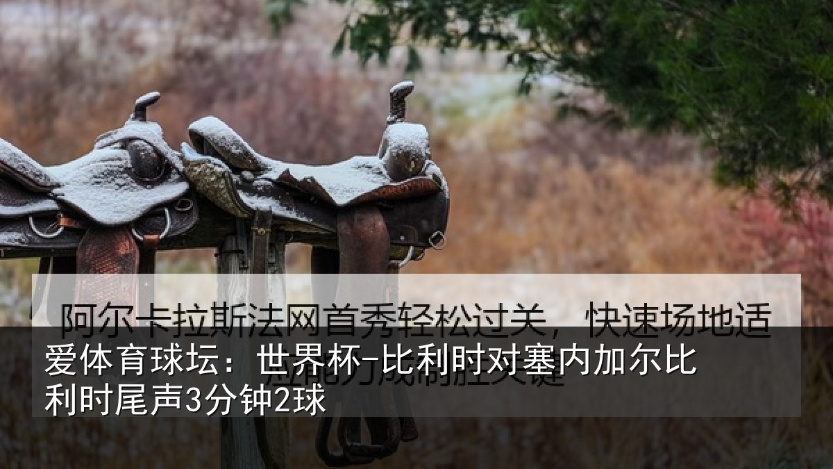 爱体育球坛:世界杯-比利时对塞内加尔相关情况