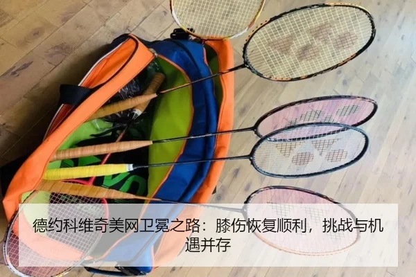 de-yue-ke-wei-qi-mei-wang-wei-mian-zhi-lu-xi-shang-hui-fu-shun-li-tiao-zhan-yu-ji-yu-bing-cun-3-899.jpg