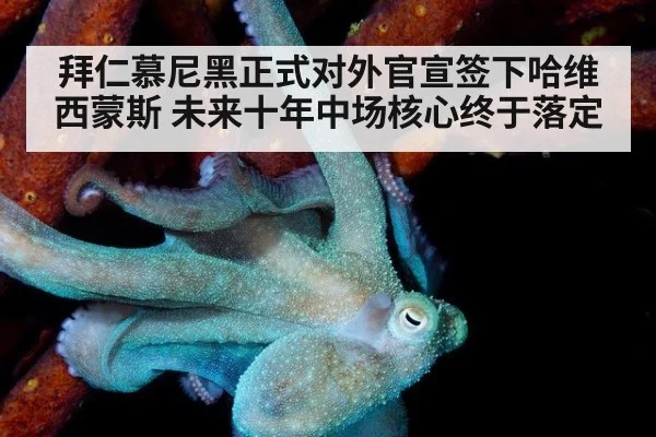 拜仁慕尼黑正式对外官宣签下哈维西蒙斯 未来十年中场核心终于落定